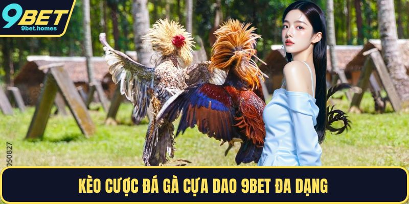 Kèo cược đá gà cựa dao 9BET đa dạng